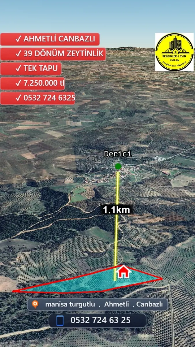 🌟 ACİL SATILIK ZEYTİNLİK 🌟 📍MANİSA AHMETLİ – CANBAZLI 📏 39 DÖNÜM – 💥 7.250.000 TL 💥 🗂️ - Fotoğraf 3