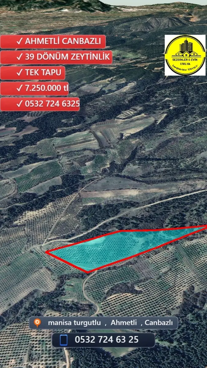 🌟 ACİL SATILIK ZEYTİNLİK 🌟 📍MANİSA AHMETLİ – CANBAZLI 📏 39 DÖNÜM – 💥 7.250.000 TL 💥 🗂️ - Fotoğraf 4