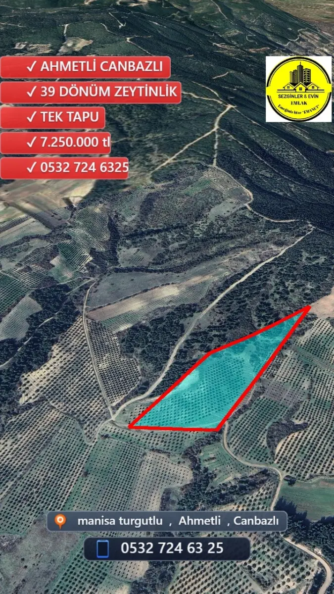 🌟 ACİL SATILIK ZEYTİNLİK 🌟 📍MANİSA AHMETLİ – CANBAZLI 📏 39 DÖNÜM – 💥 7.250.000 TL 💥 🗂️ - Fotoğraf 7