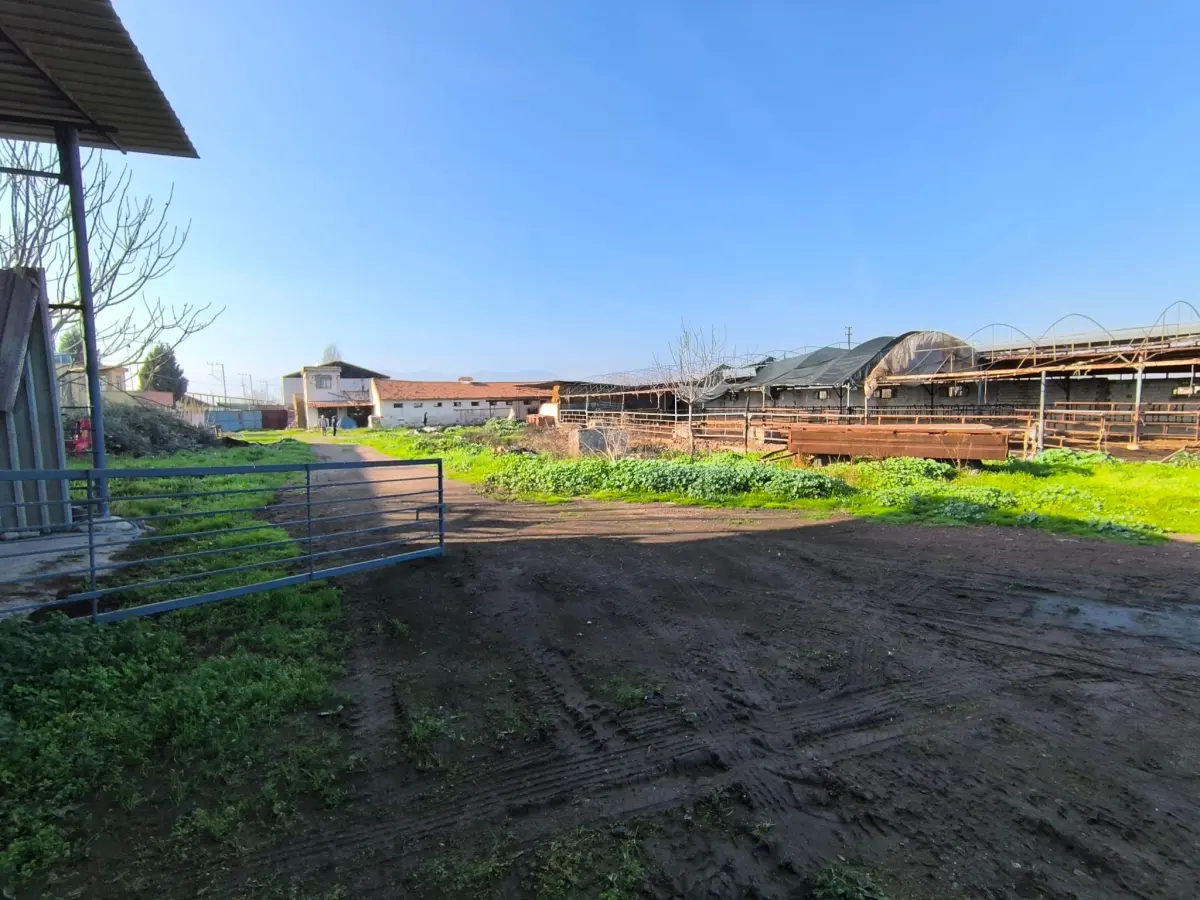 ACİL SATILIK ÇİFTLİK / TESİS ALANI - Fotoğraf 5