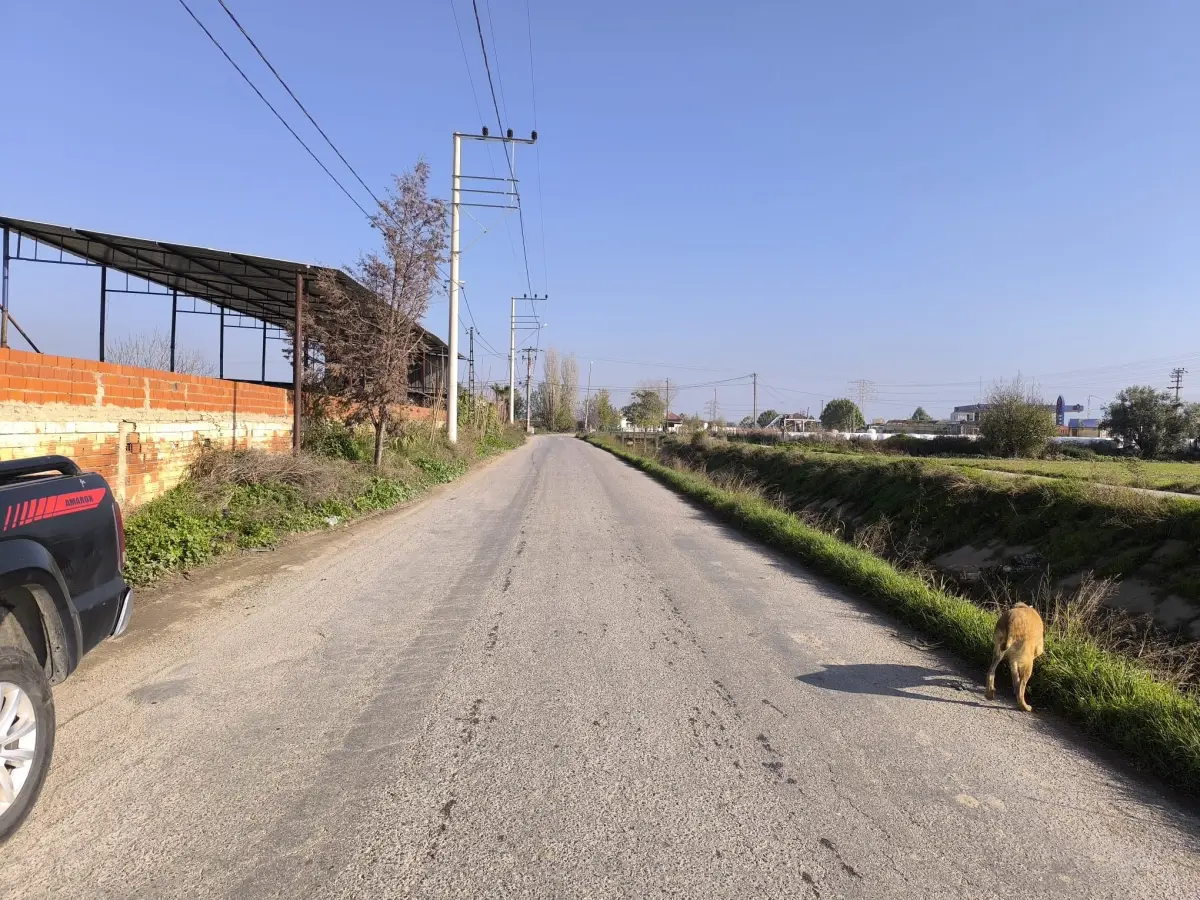 ACİL SATILIK ÇİFTLİK / TESİS ALANI - Fotoğraf 11