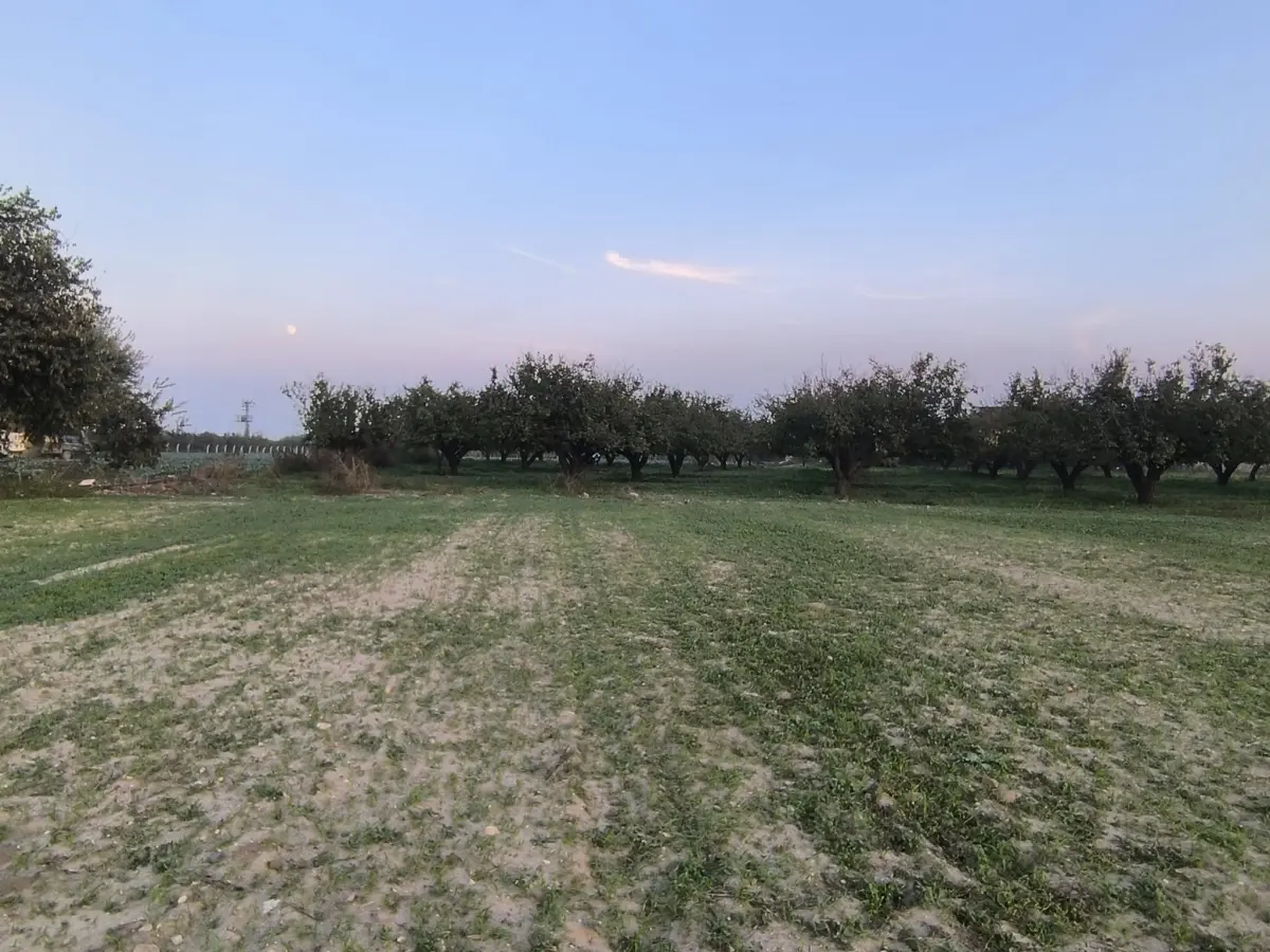 ACİL SATILIK FIRSAT ARAZİ 330 m² – 915.BİN TL–TAPULU SATIŞA HAZIR 🌿 - Fotoğraf 2