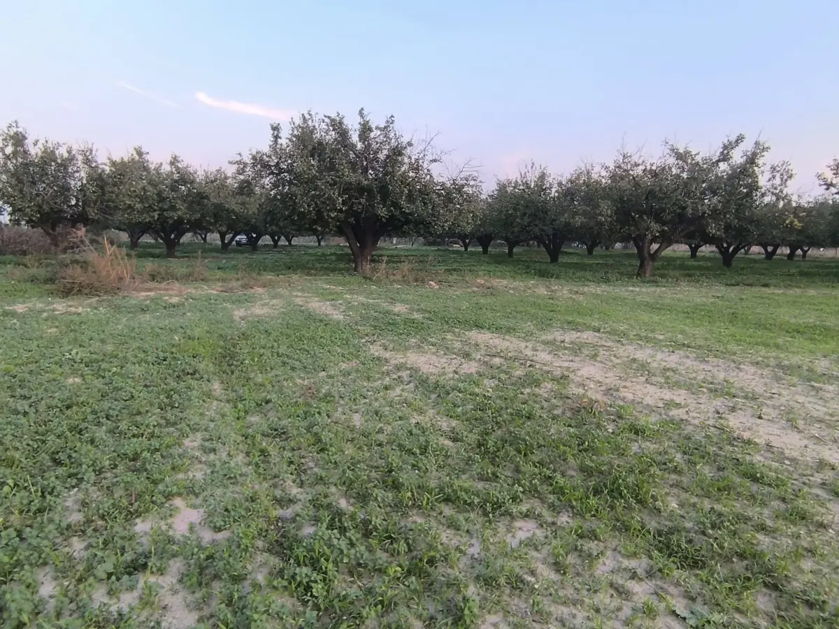 ACİL SATILIK FIRSAT ARAZİ 330 m² – 915.BİN TL–TAPULU SATIŞA HAZIR 🌿 - Fotoğraf 5