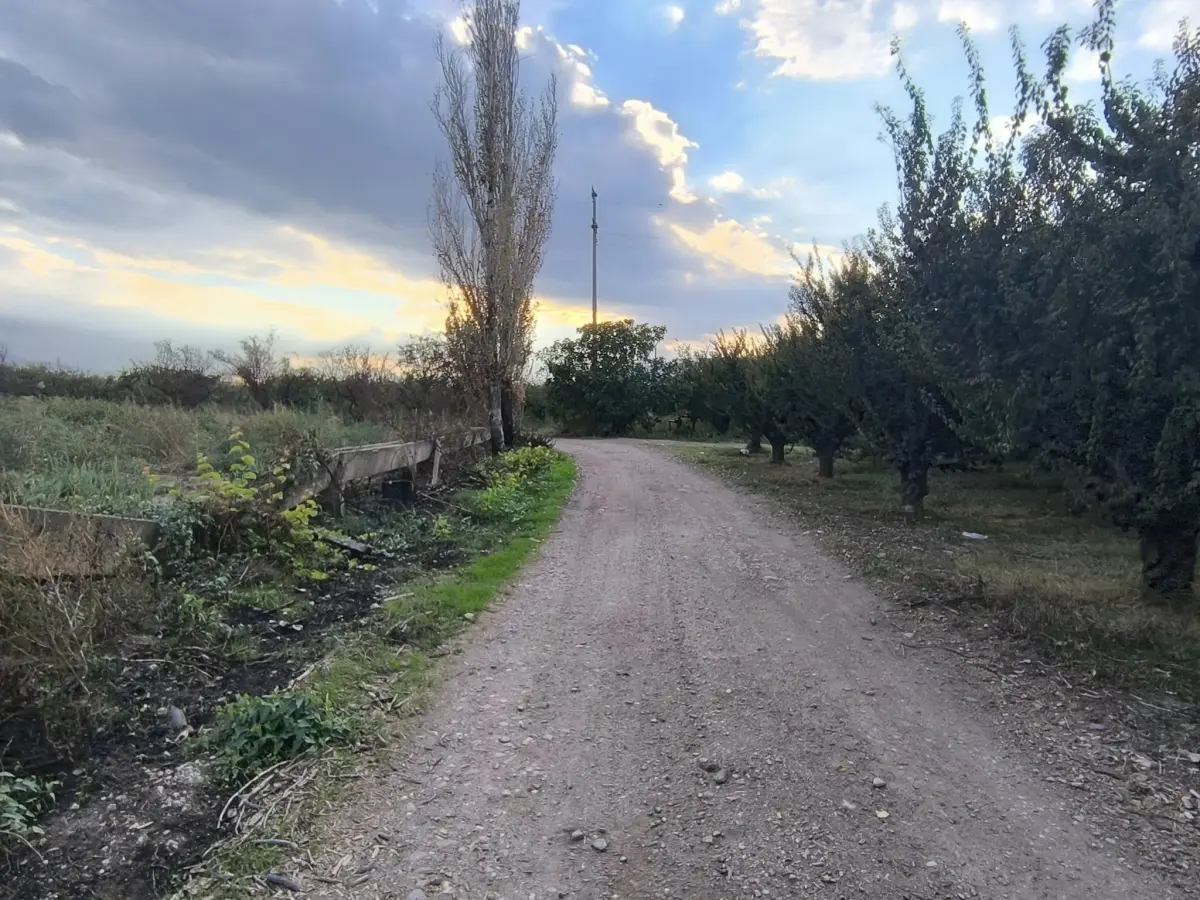 𝐀𝐂𝐈𝐋 𝐒𝐀𝐓𝐈𝐋𝐈𝐊 𝟑 𝐃𝐎̈𝐍𝐔̈𝐌 𝐒̧𝐄𝐅𝐓𝐀𝐋𝐈 𝐁𝐀𝐇𝐂̧𝐄𝐒𝐈 - Fotoğraf 5