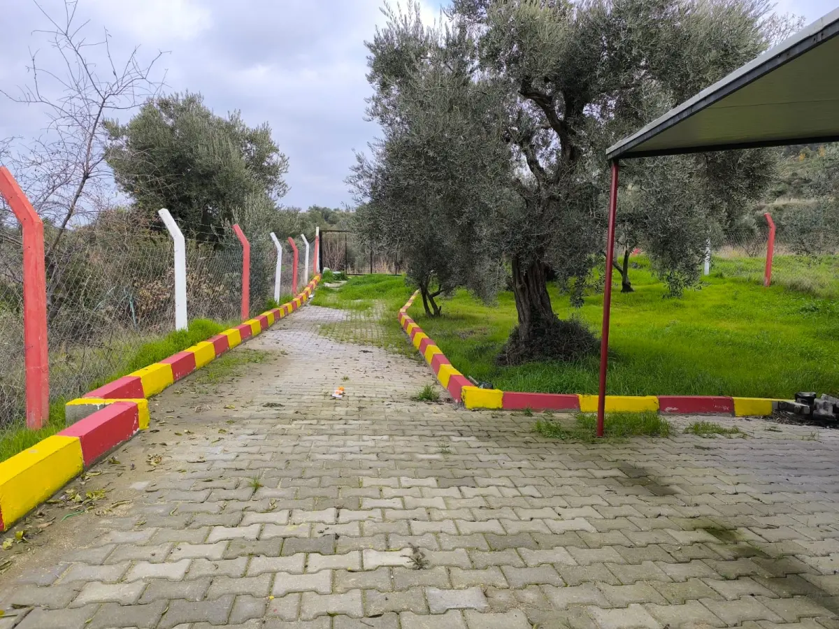 ACİL SATILIK  TEK TAPU | 770 M² HOBİ BAHÇESİ - Fotoğraf 5