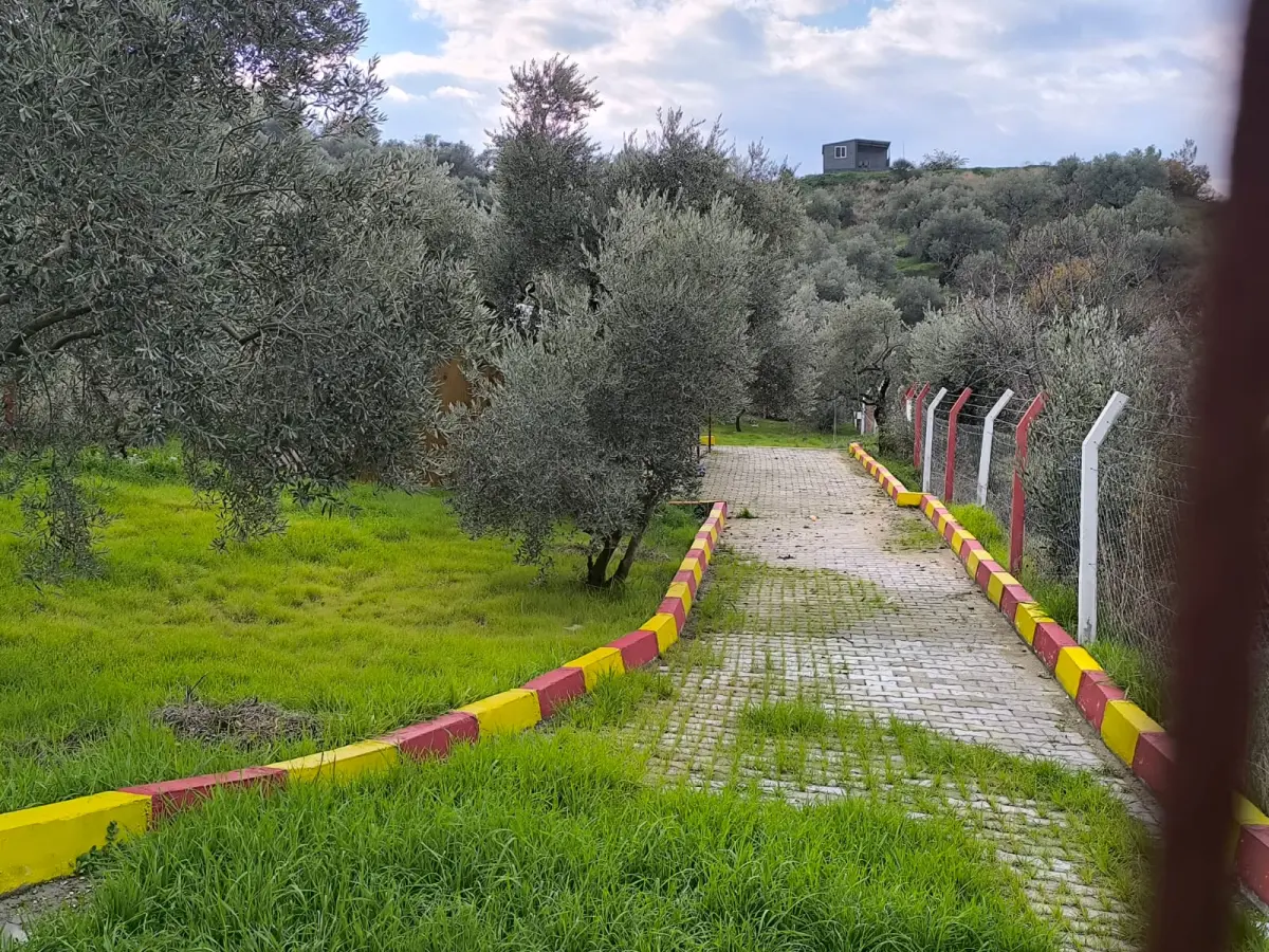 ACİL SATILIK  TEK TAPU | 770 M² HOBİ BAHÇESİ - Fotoğraf 7