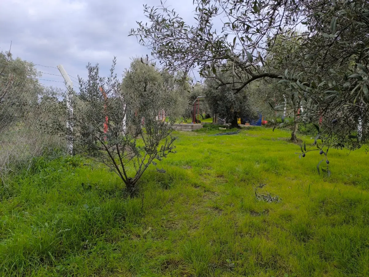 ACİL SATILIK  TEK TAPU | 770 M² HOBİ BAHÇESİ - Fotoğraf 9