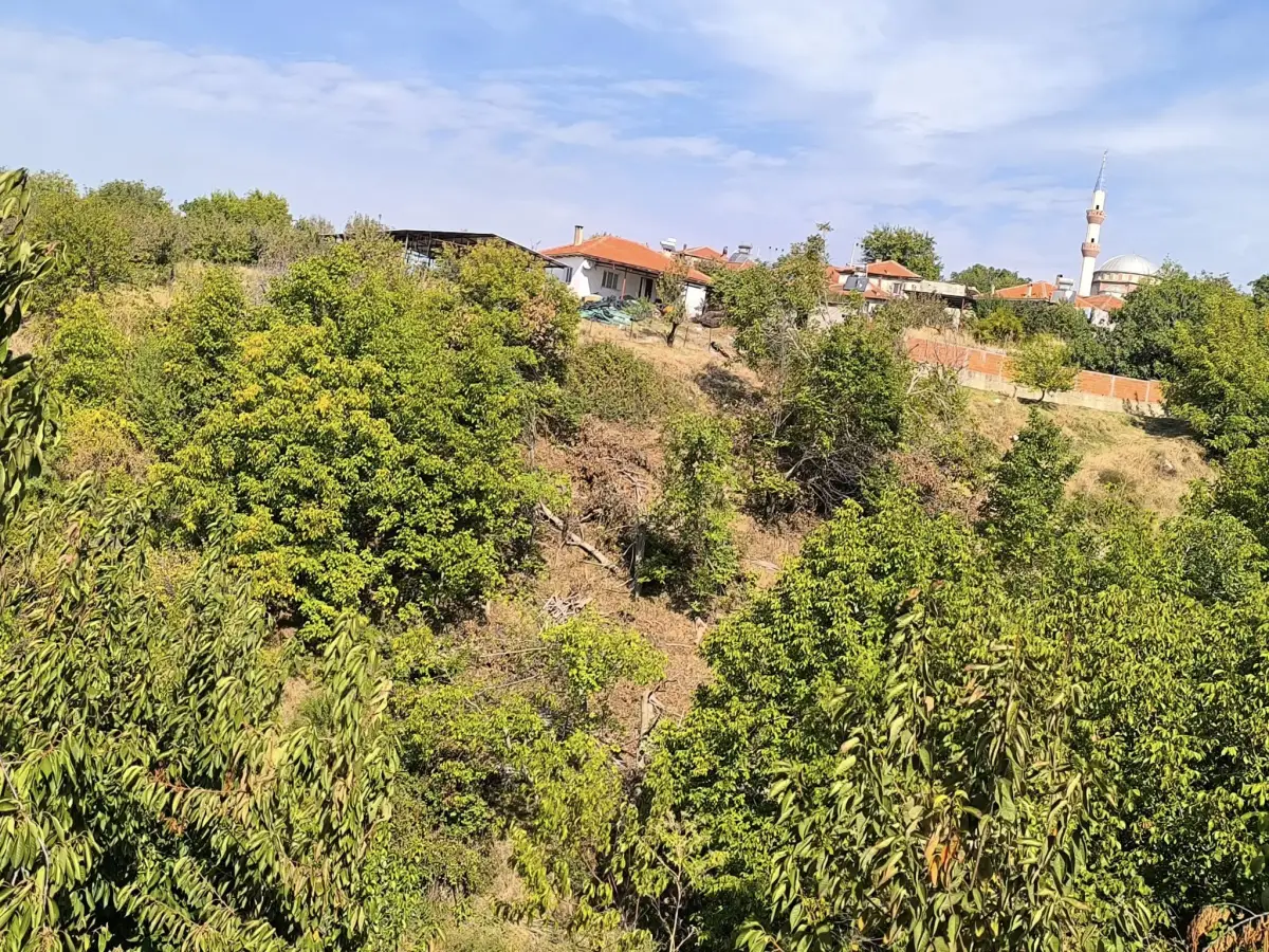 ELEKTRİĞİ VE SUYU VAR – KÖY DİBİNDE - Fotoğraf 7