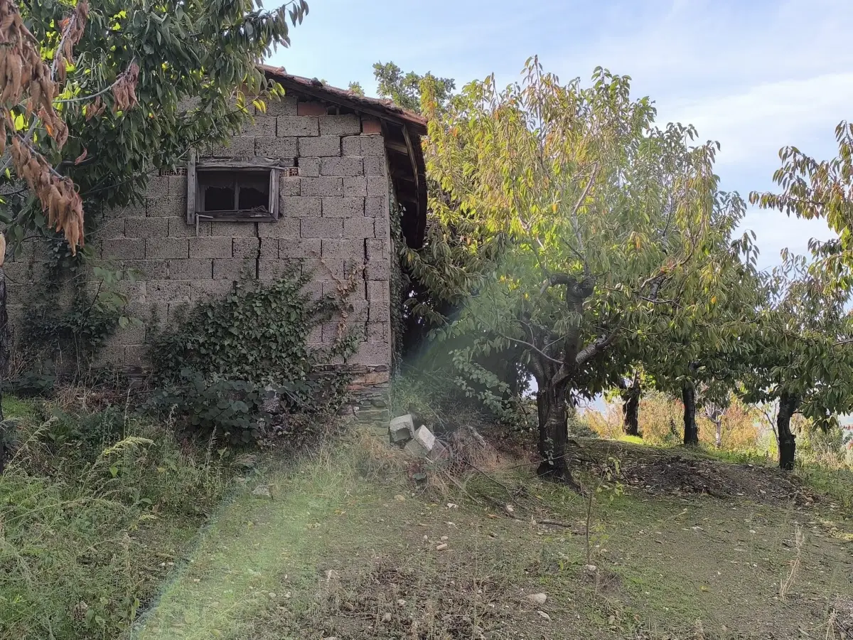 ELEKTRİĞİ VE SUYU VAR – KÖY DİBİNDE - Fotoğraf 8