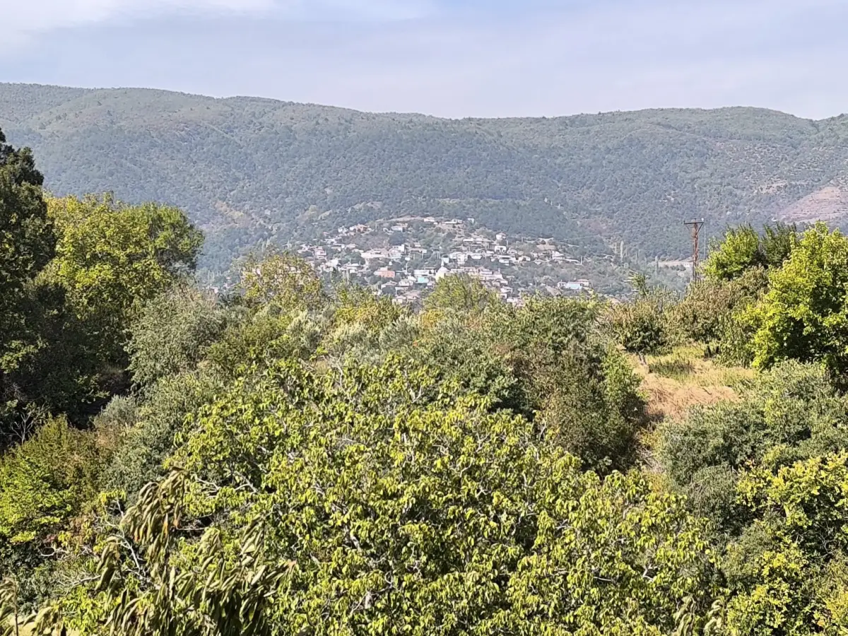 ELEKTRİĞİ VE SUYU VAR – KÖY DİBİNDE - Fotoğraf 9