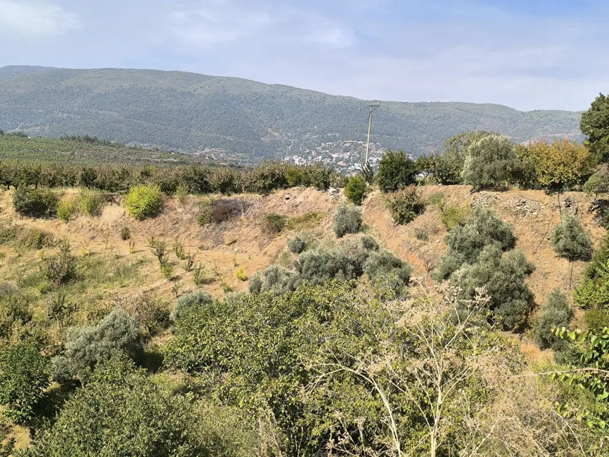 ELEKTRİĞİ VE SUYU VAR – KÖY DİBİNDE - Fotoğraf 11