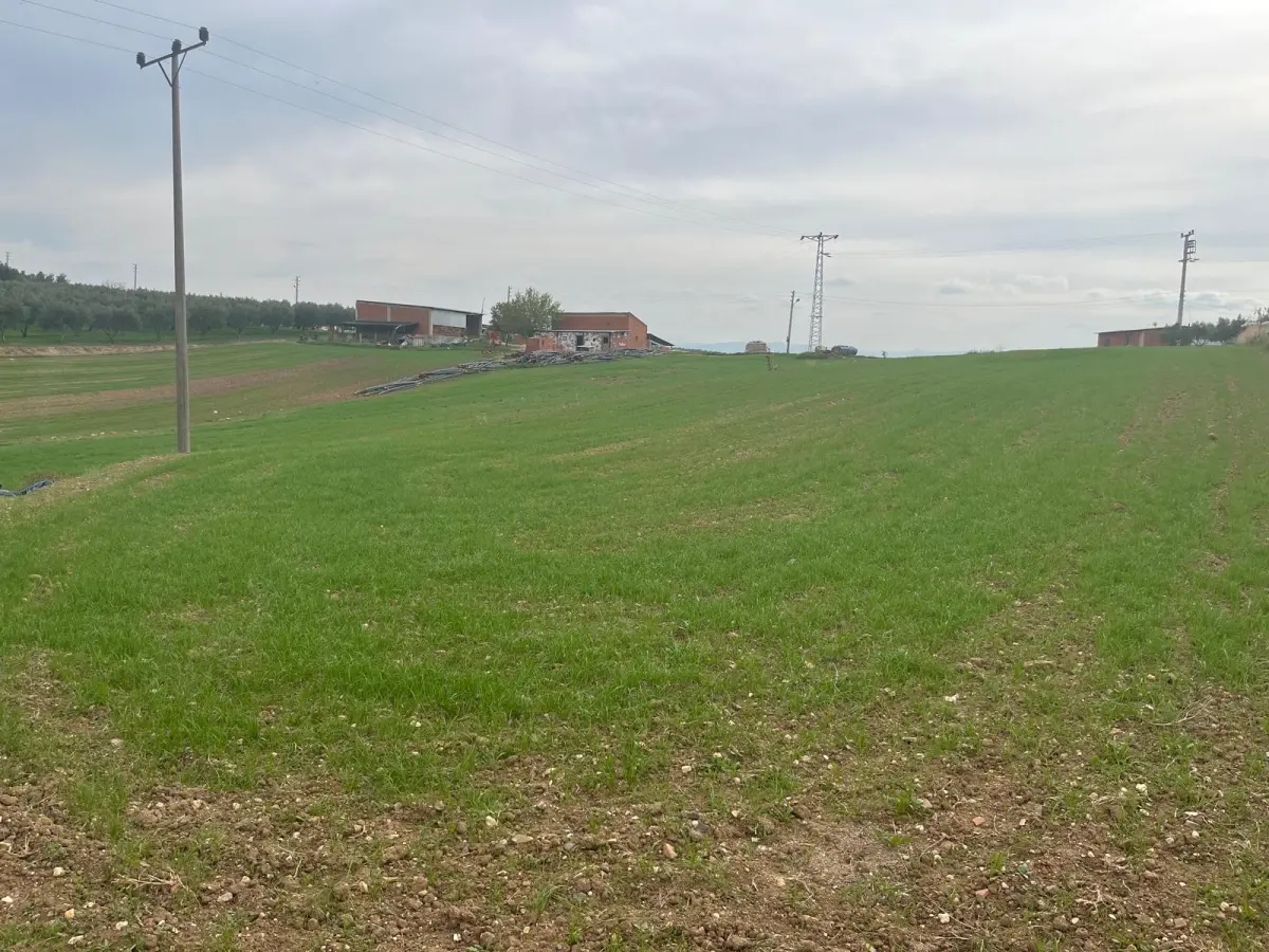 ACİL SATILIK 1.700 m² KÖY YANIARAZ - Fotoğraf 7