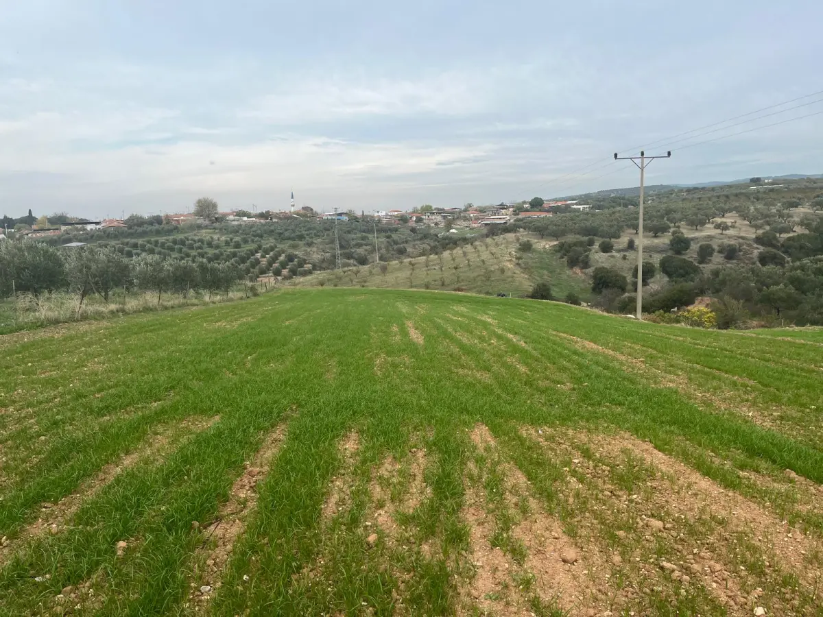 ACİL SATILIK 1.700 m² KÖY YANIARAZ - Fotoğraf 9