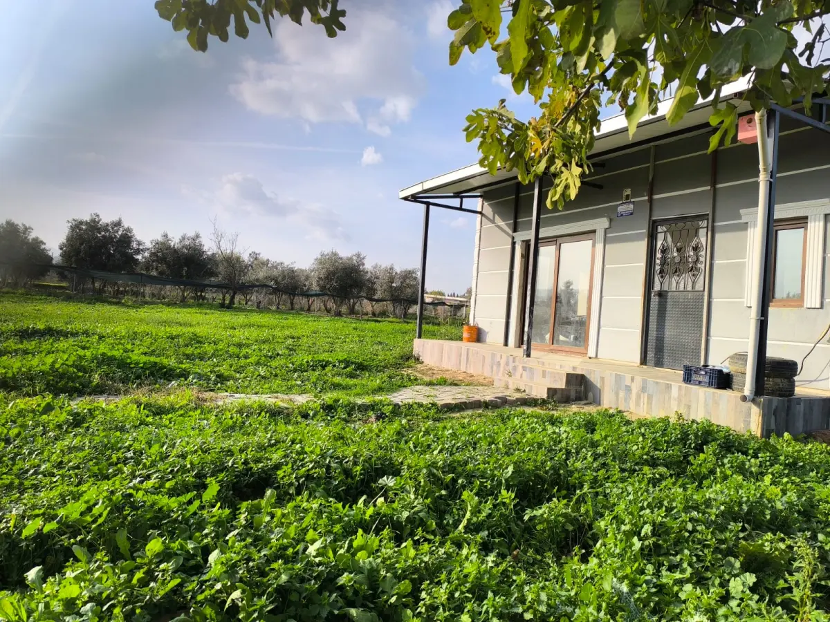 ACİL SATILIK HOBİ BAHÇESİ - Fotoğraf 3