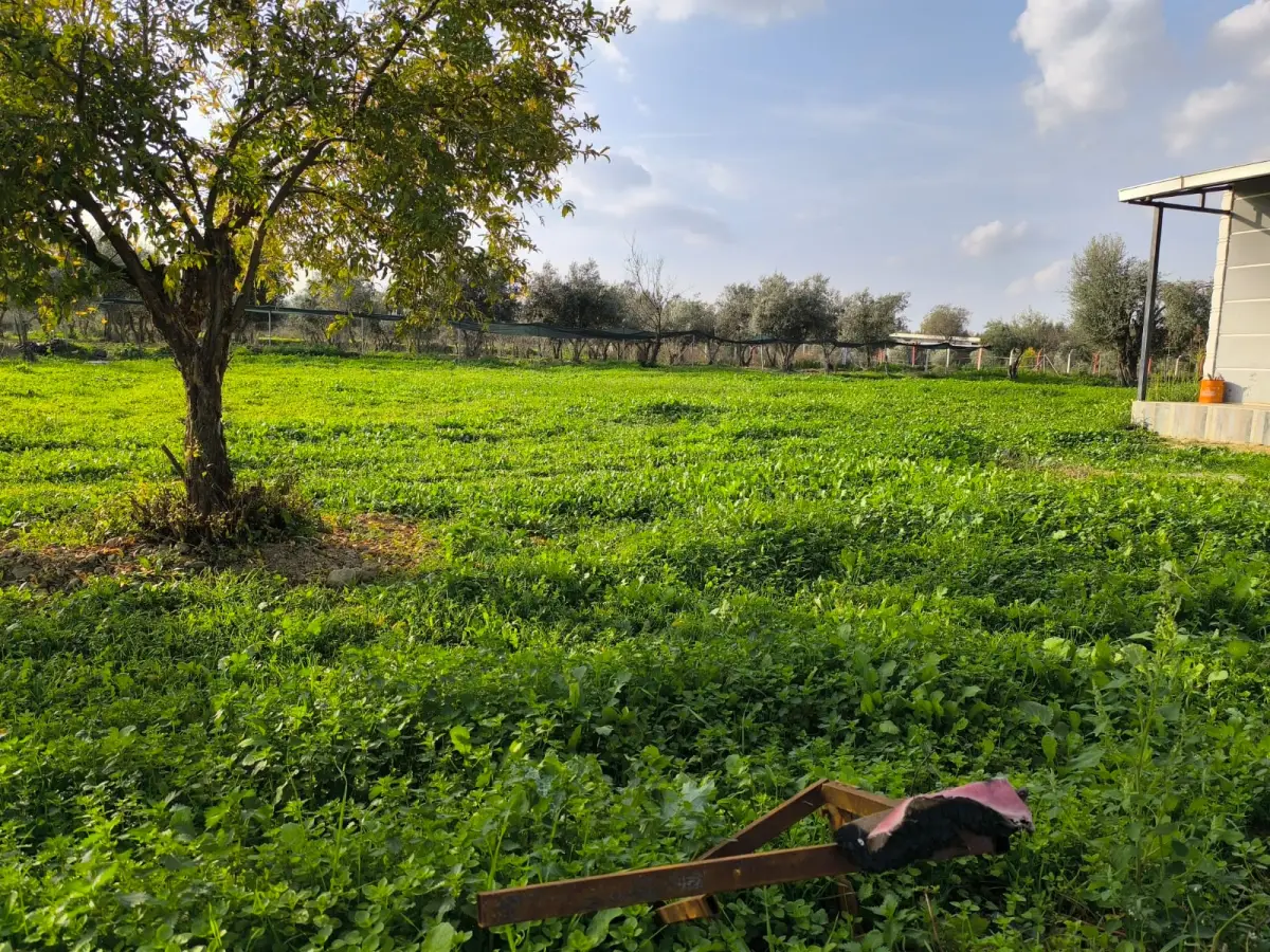 ACİL SATILIK HOBİ BAHÇESİ - Fotoğraf 8