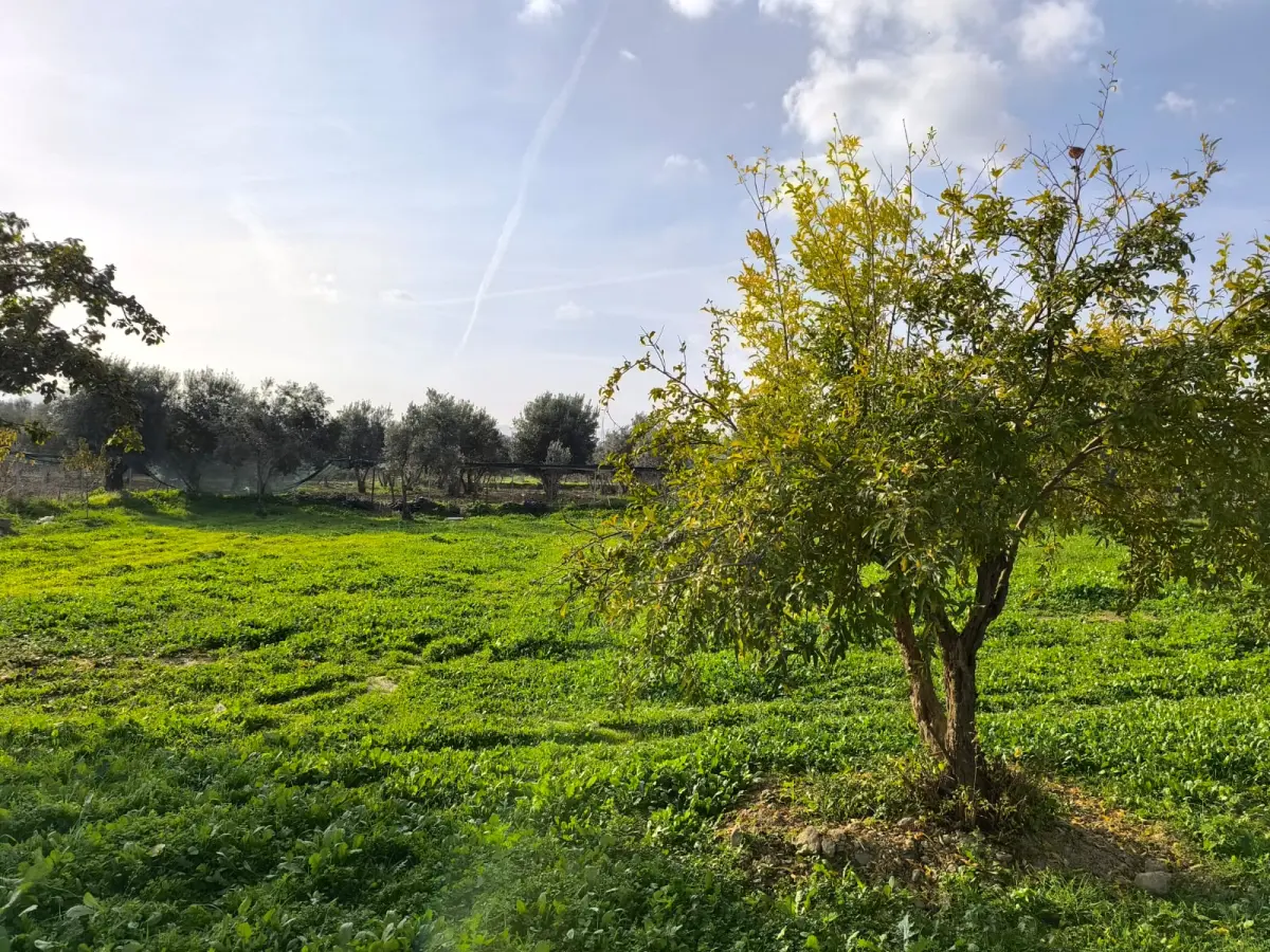 ACİL SATILIK HOBİ BAHÇESİ - Fotoğraf 10