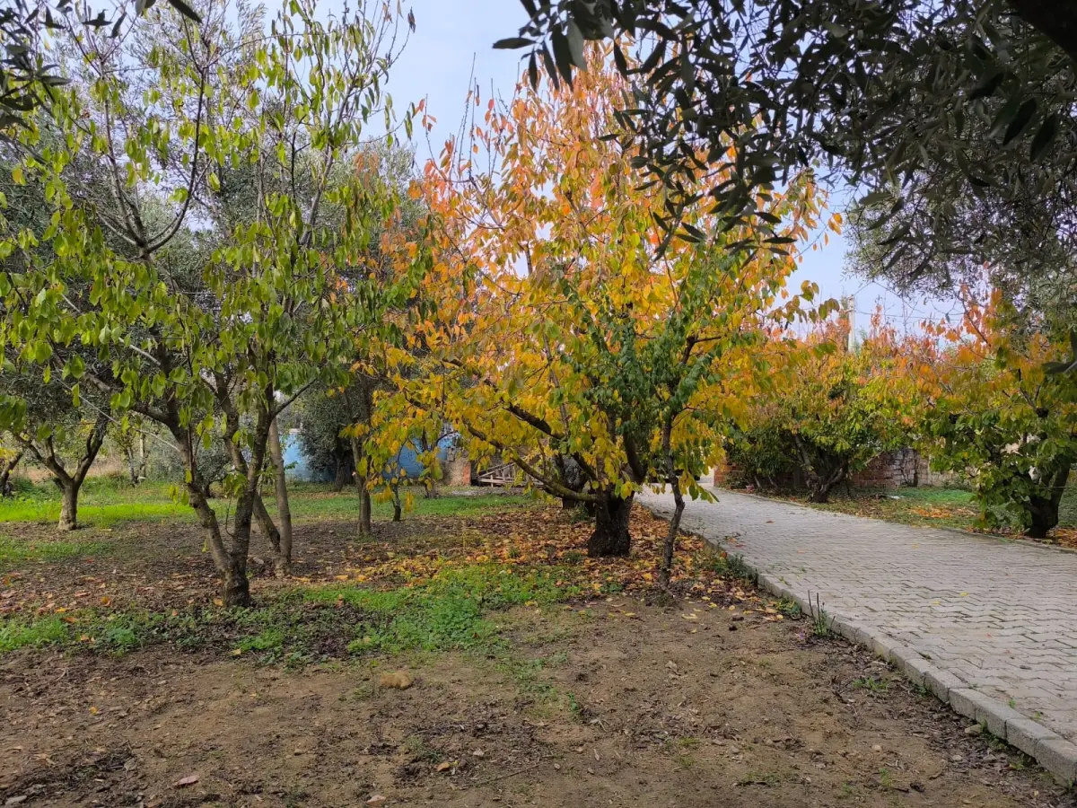 ACİL SATILIK   -YAZLIK KÖY EVLERİ – MÜKEMMEL YAŞAM ALANI - Fotoğraf 6