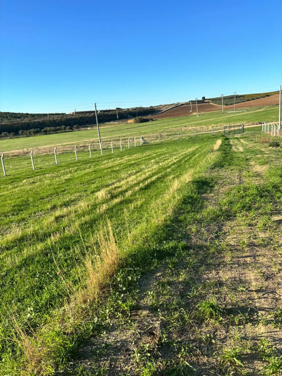 SATILIK ARAZİ  SINIRLI KÖY GİRİŞİ – OTOBAN YANI - Fotoğraf 6