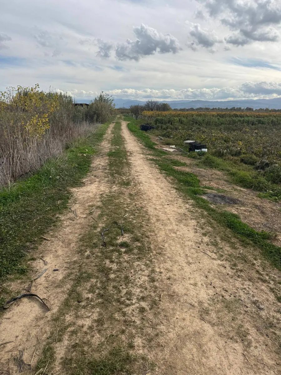 ACİL SATILIK ARAZİ  📏 7.100 M² - Fotoğraf 2