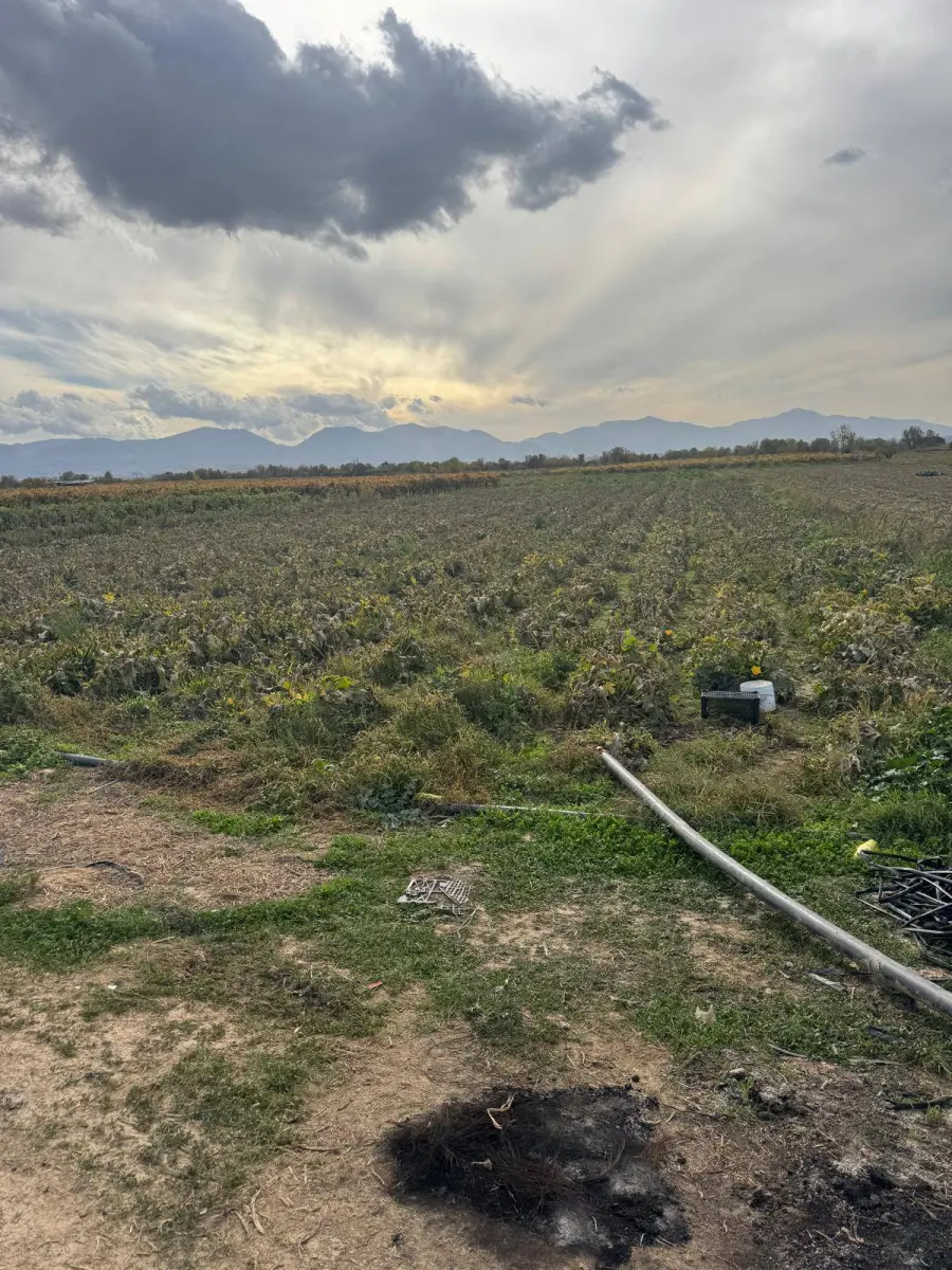 ACİL SATILIK ARAZİ  📏 7.100 M² - Fotoğraf 3