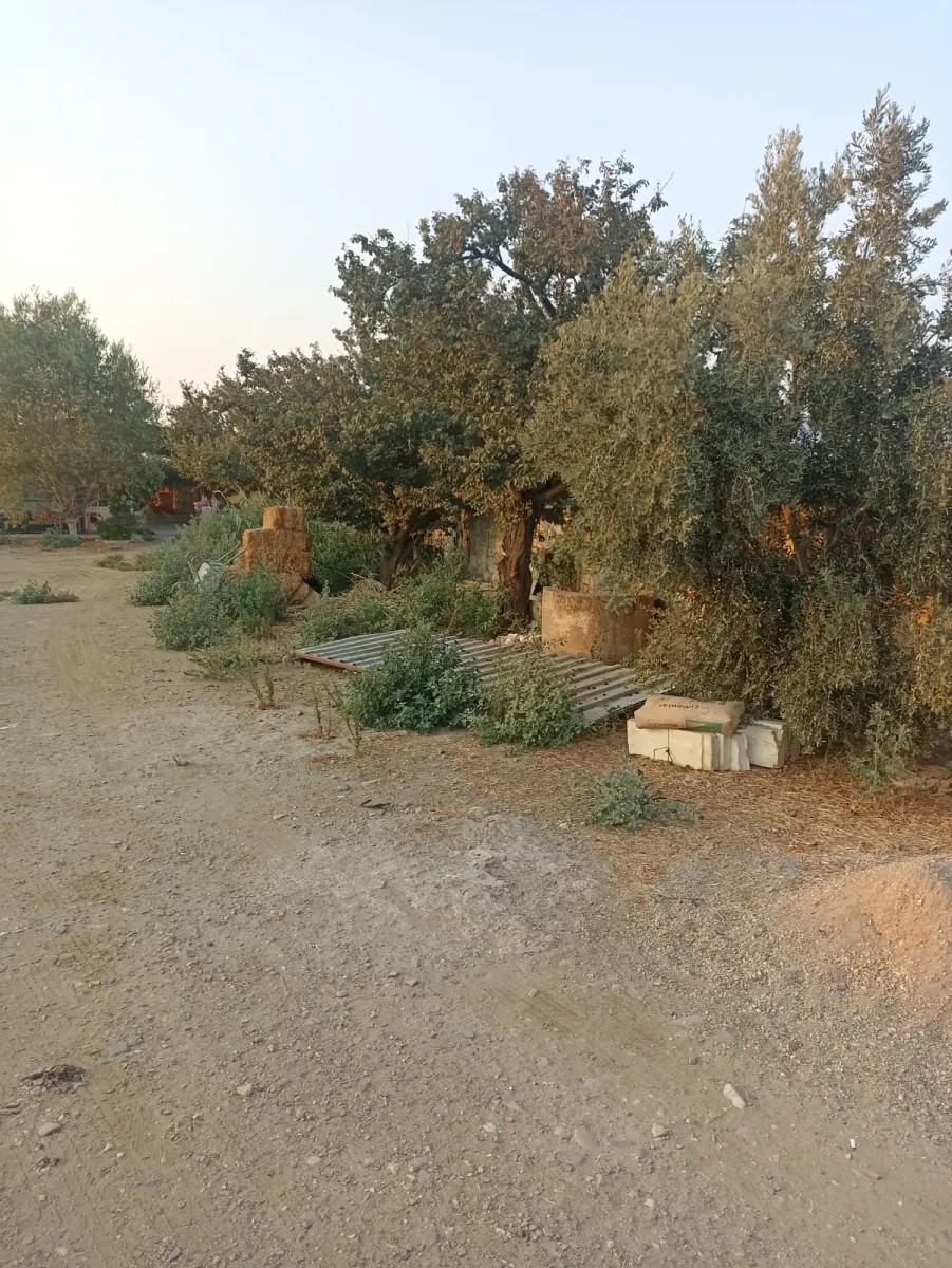 Ev çiftlik yaşam alanı - Fotoğraf 2