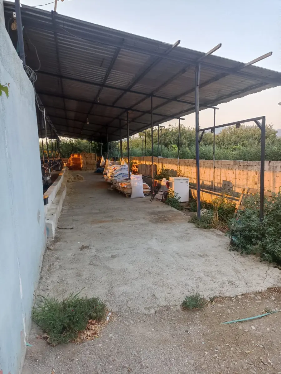 Ev çiftlik yaşam alanı - Fotoğraf 5