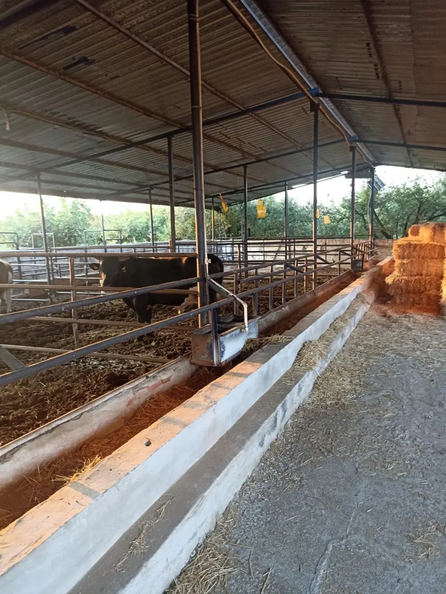 Ev çiftlik yaşam alanı - Fotoğraf 8