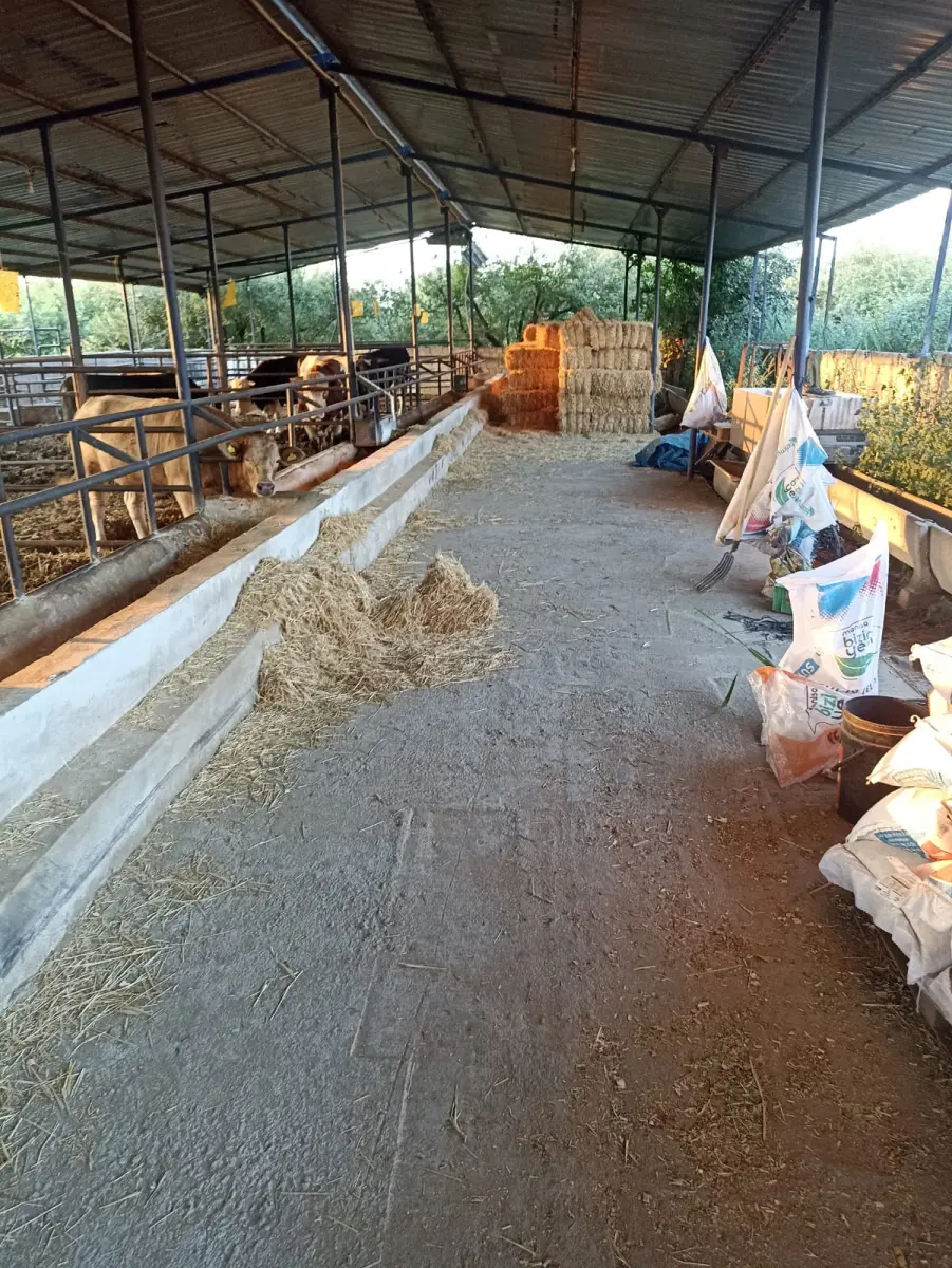 Ev çiftlik yaşam alanı - Fotoğraf 10