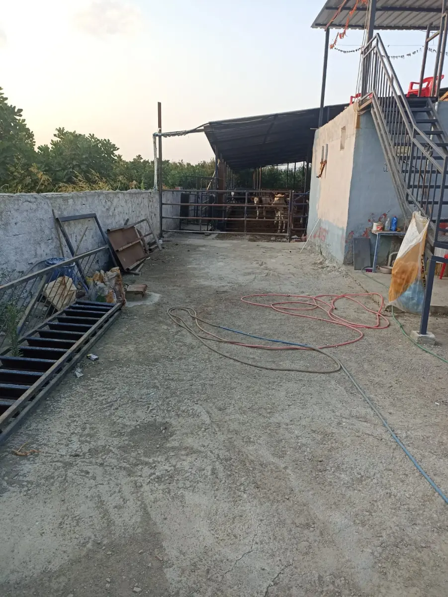 Ev çiftlik yaşam alanı - Fotoğraf 12