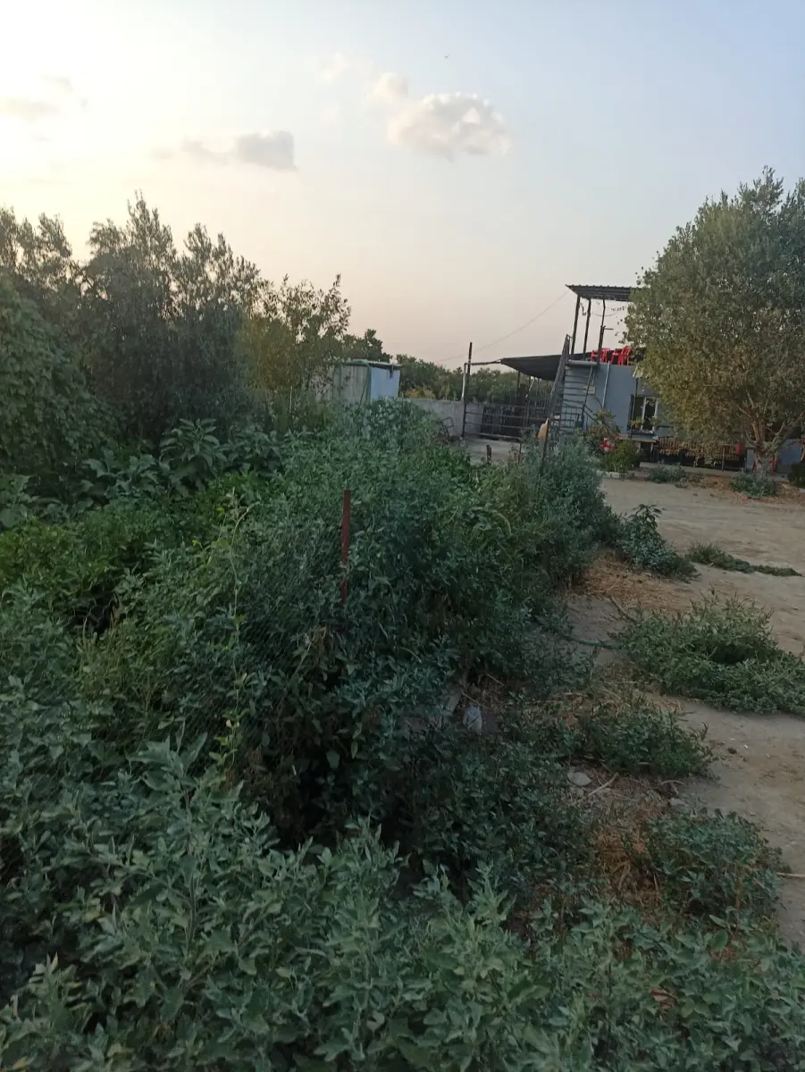 Ev çiftlik yaşam alanı - Fotoğraf 13