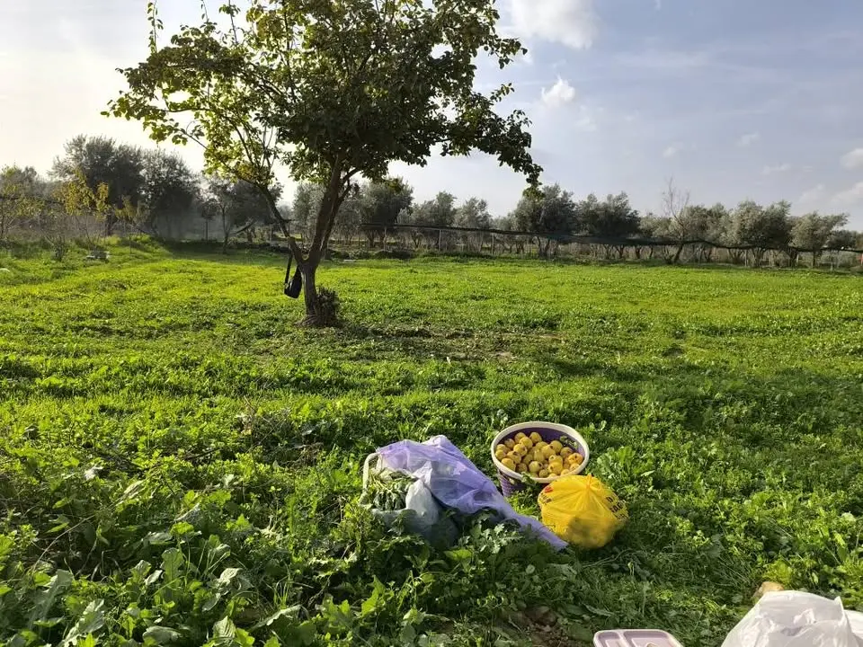 ACİL SATILIK HOBİ BAHÇESİ - Fotoğraf 3