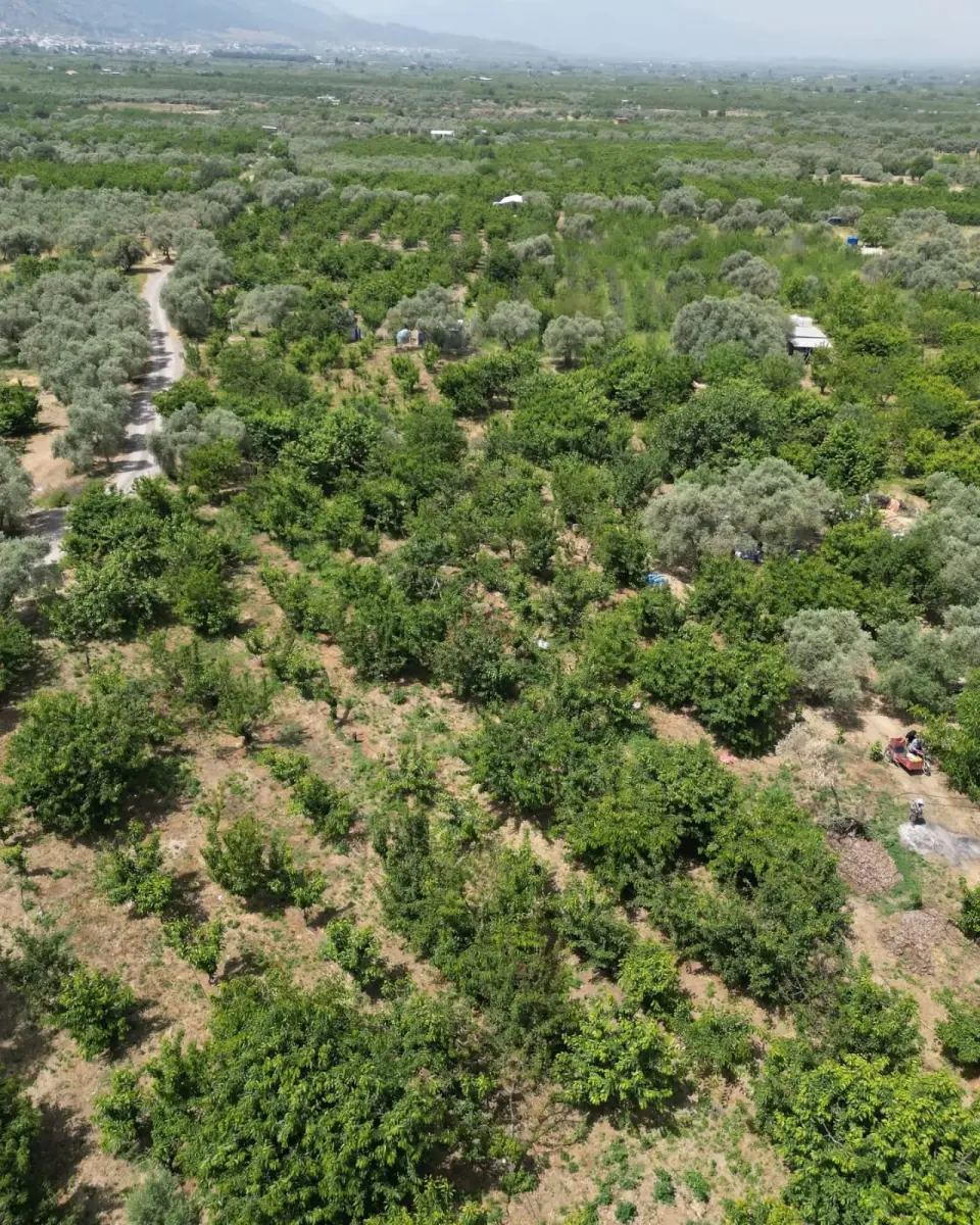 6.250.00 TL  Tek Tapu   Kirazlık - Fotoğraf 1