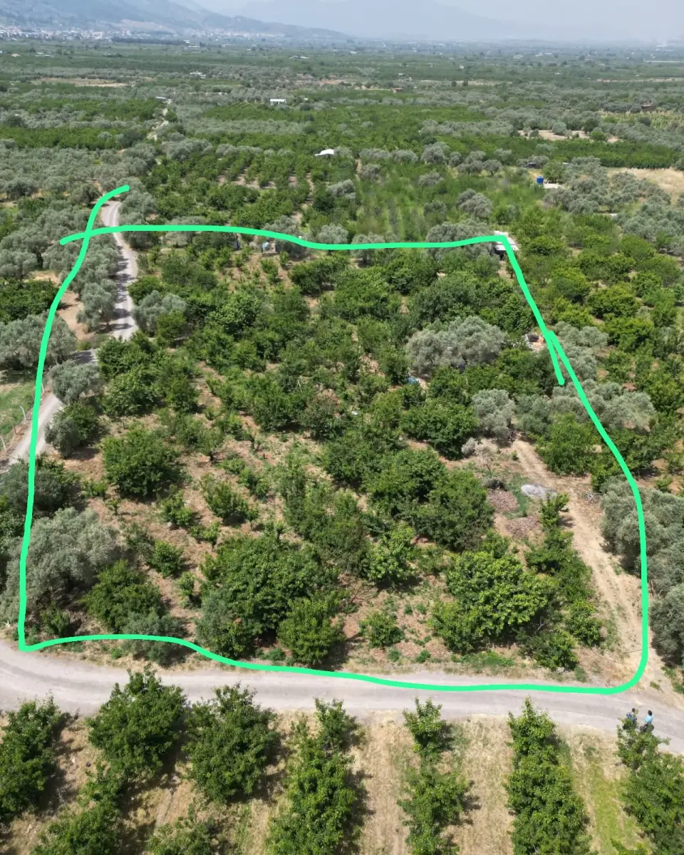 6.250.00 TL  Tek Tapu   Kirazlık - Fotoğraf 7