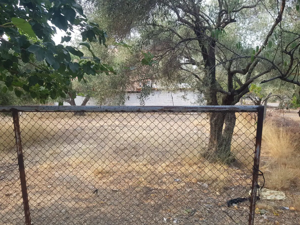 ACİL SATILIK MANİSA / TURGUTLU / DERBENT - Fotoğraf 3