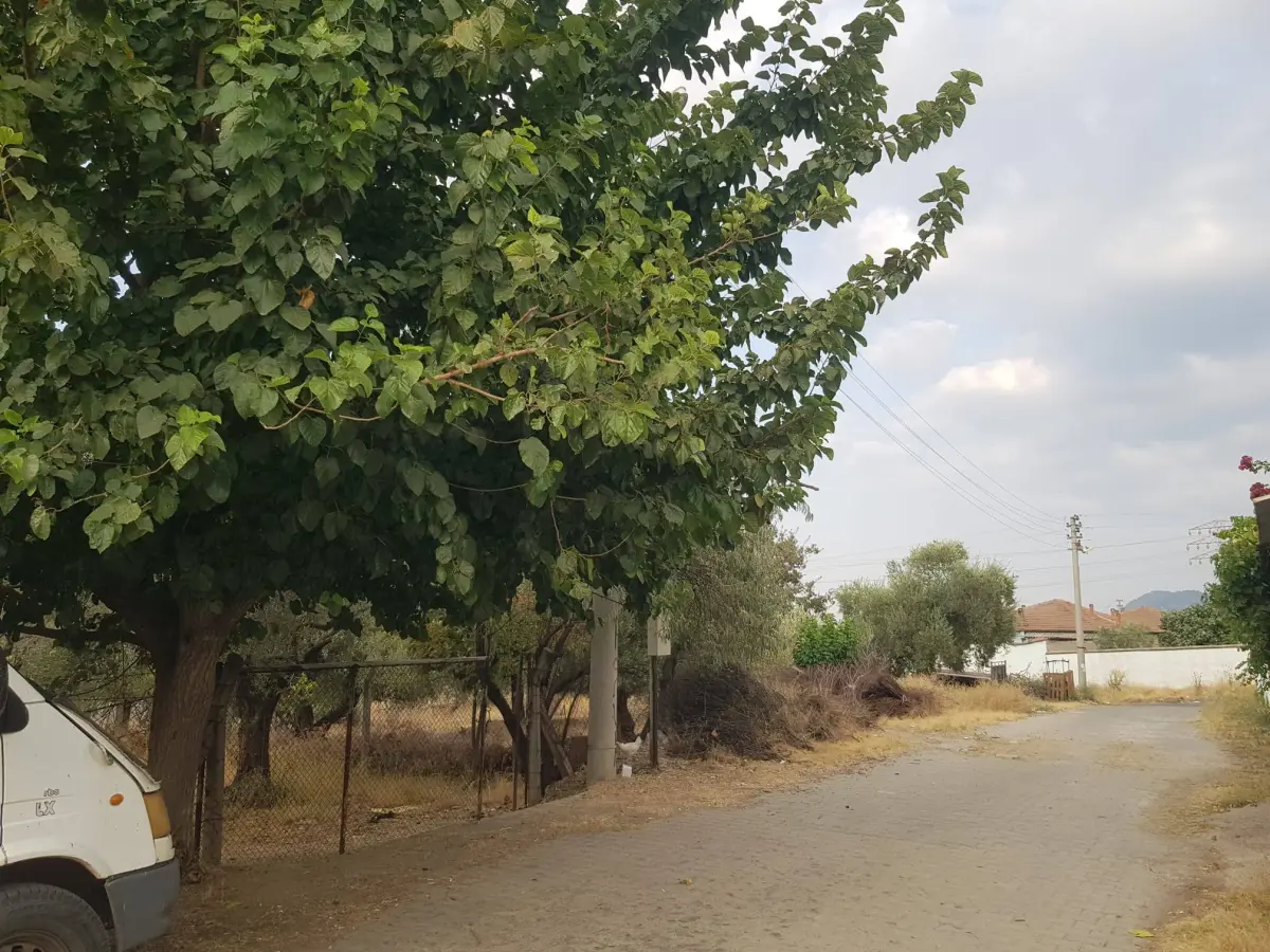 ACİL SATILIK MANİSA / TURGUTLU / DERBENT - Fotoğraf 6