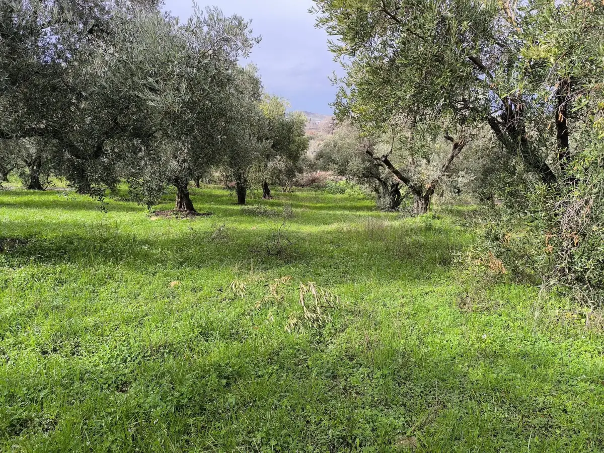 ACİL SATILIK KISA SÜRELİ FIRSAT  TURGUTLU’NUN GÖZDE YERİ IRLMAZ’DA - Fotoğraf 9