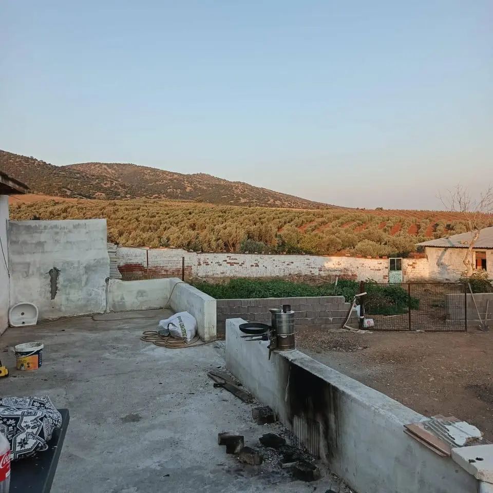 KAÇIRILMAYACAK ÇİFTLİK FIRSATI – MANİSA SARUHANLI BÜYÜKBELEN - Fotoğraf 6