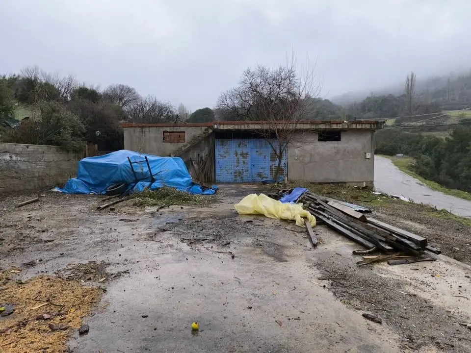 ACİL SATILIK KÖY İÇİNDE  455 M² ARSA İÇİNDE TEK TAPU  FİYAT: 2.200.000 TL HACI KÖSELİ KÖYÜ - Fotoğraf 6