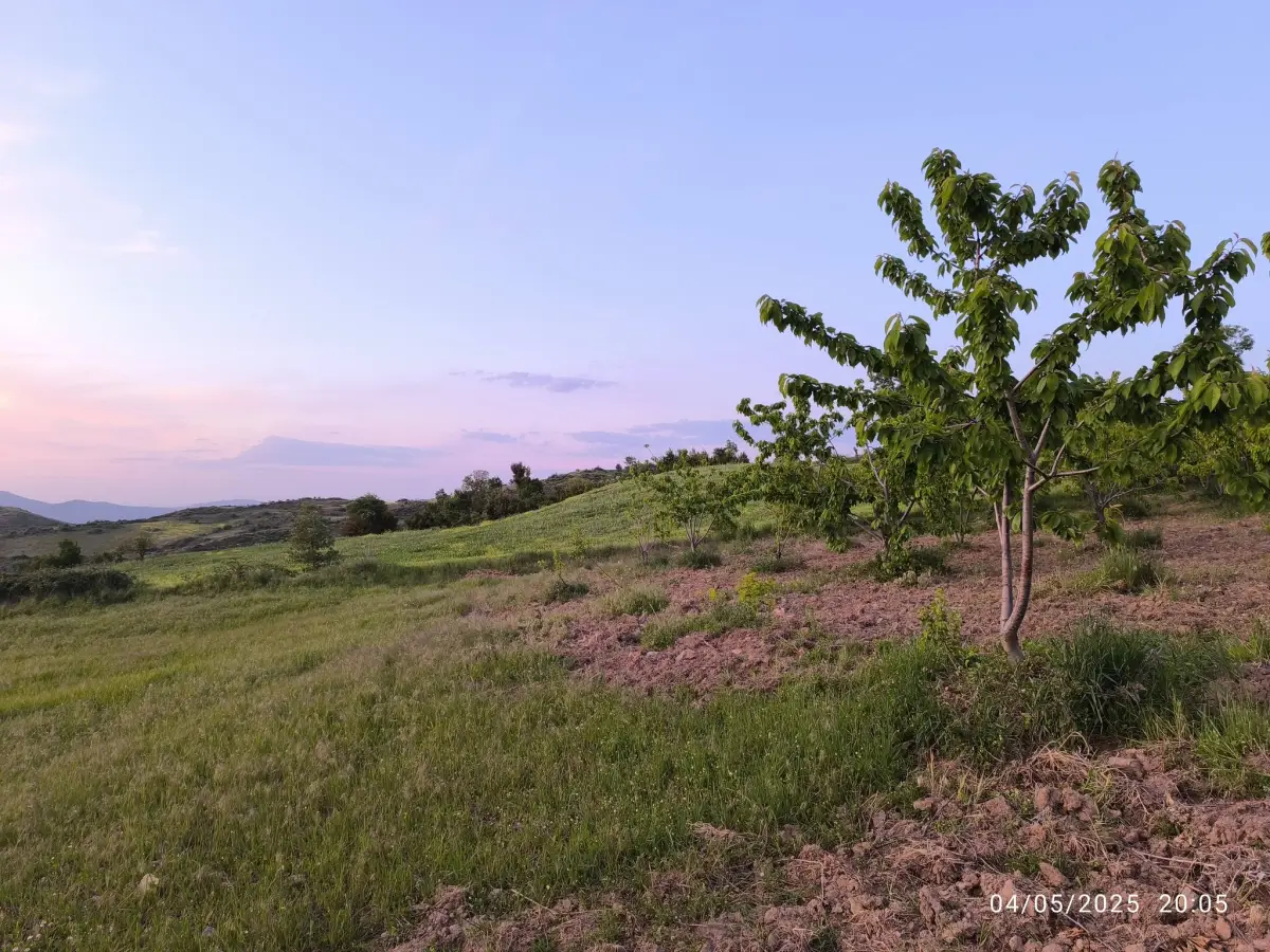 FIRSAT ARAZİ SATILIK  - 15 DÖNÜM – TEK TAPU - Fotoğraf 7