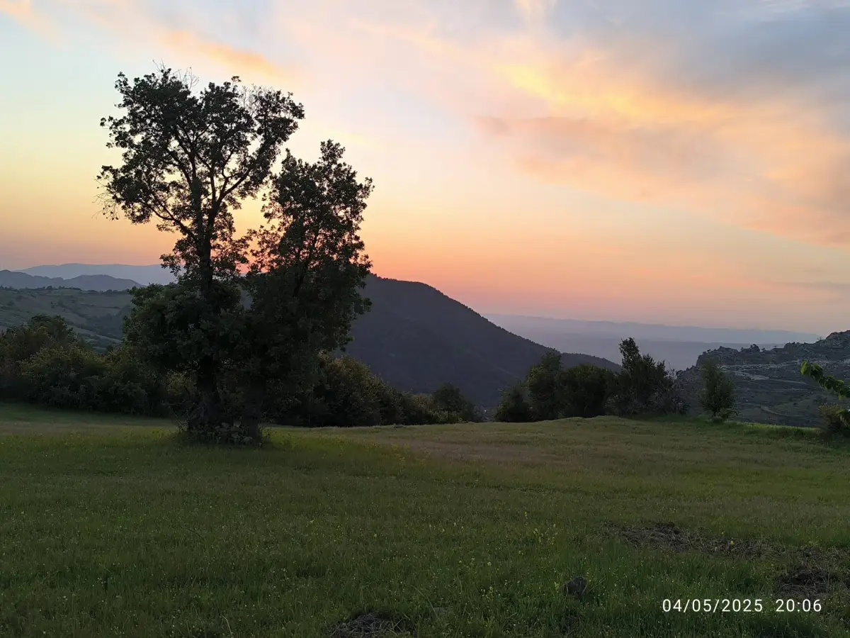 FIRSAT ARAZİ SATILIK  - 15 DÖNÜM – TEK TAPU - Fotoğraf 9