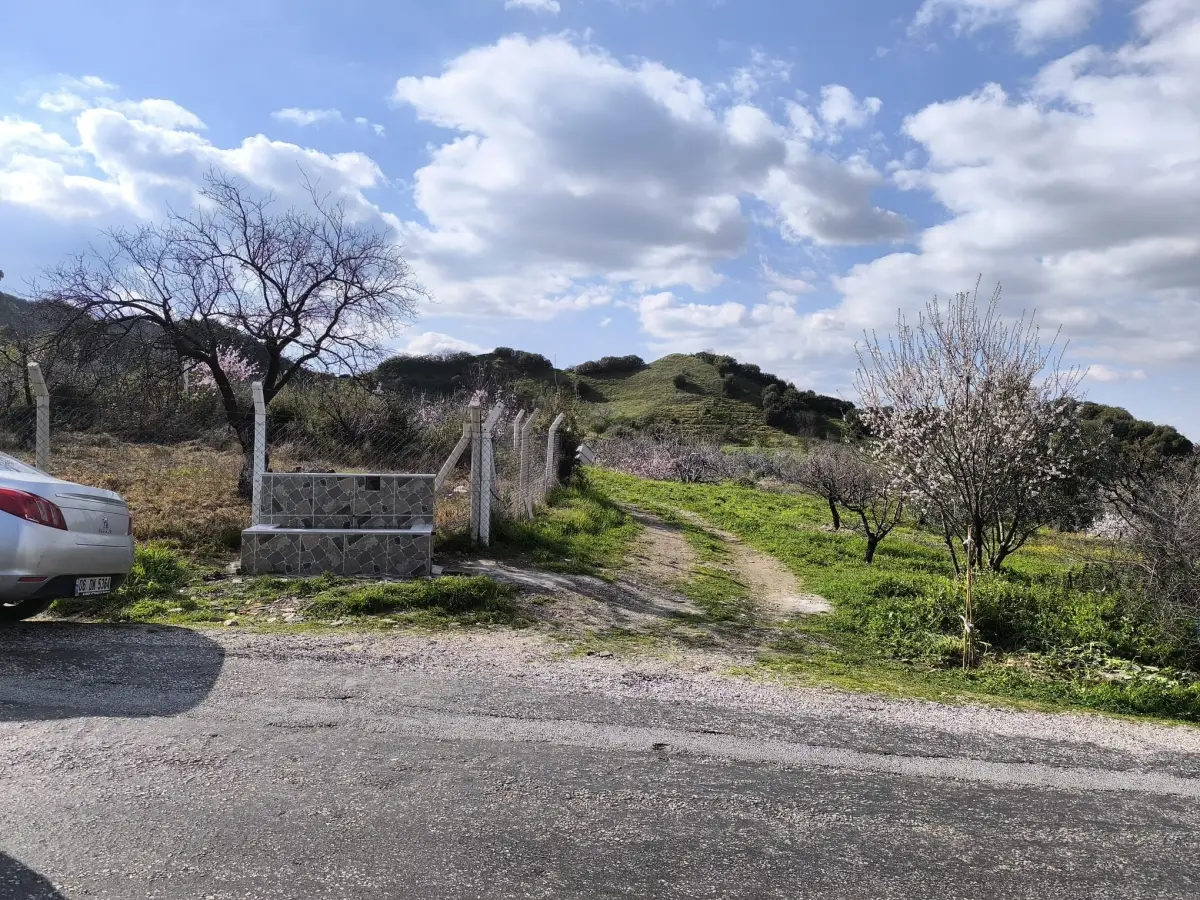 ACİL SATILIK MEYVE BAHÇESBAHÇESİ  TURGUTLU DALBAHÇE - Fotoğraf 3