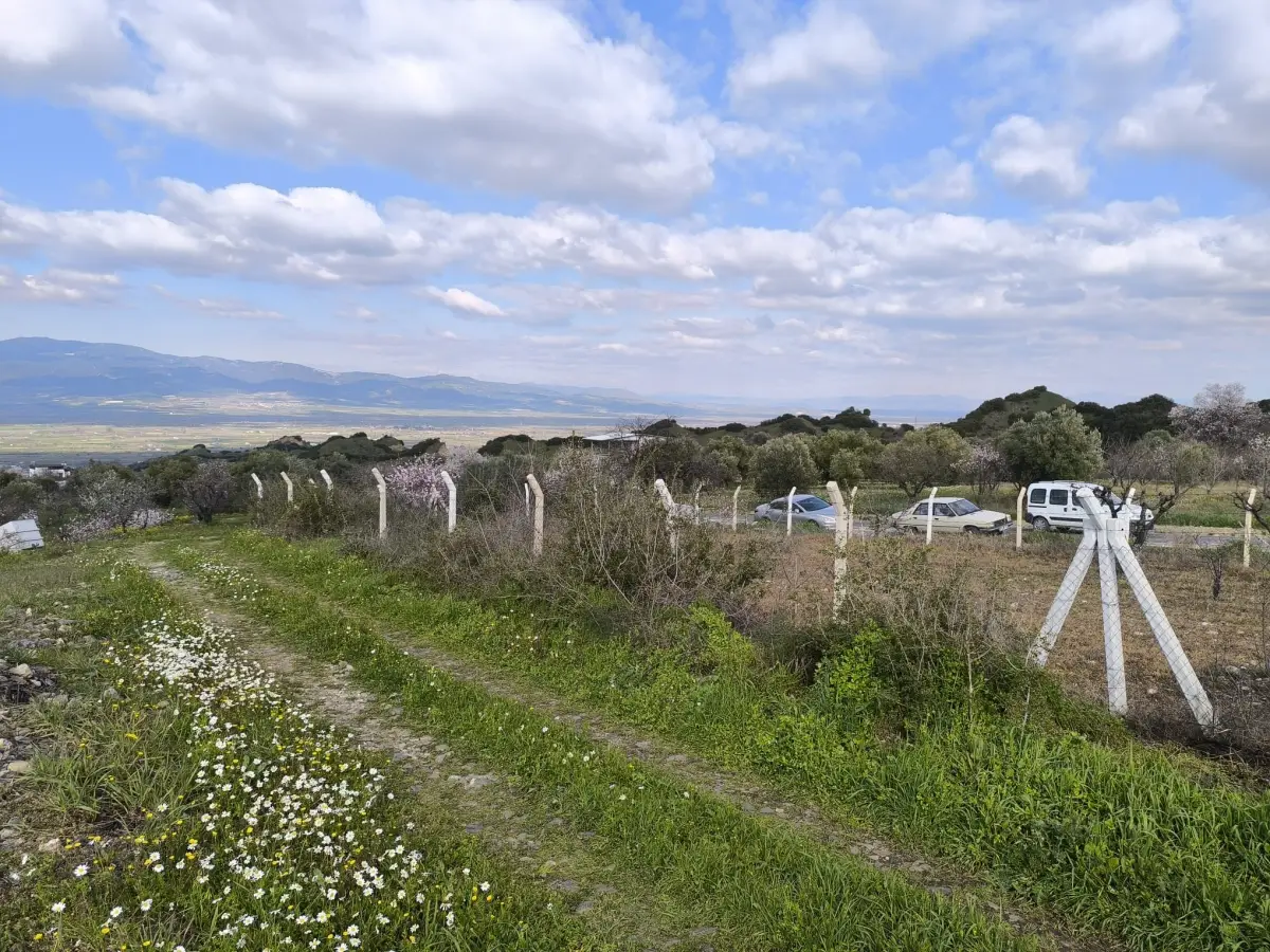 ACİL SATILIK MEYVE BAHÇESBAHÇESİ  TURGUTLU DALBAHÇE - Fotoğraf 6