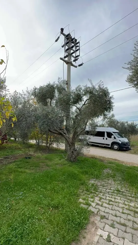 ACİL SATILIK     ASFALT KENARI 12 DÖNÜM - Fotoğraf 2