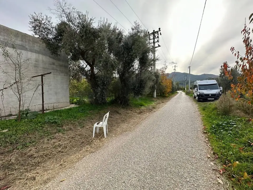 ACİL SATILIK     ASFALT KENARI 12 DÖNÜM - Fotoğraf 4