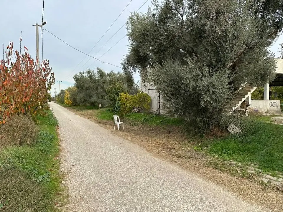 ACİL SATILIK     ASFALT KENARI 12 DÖNÜM - Fotoğraf 8