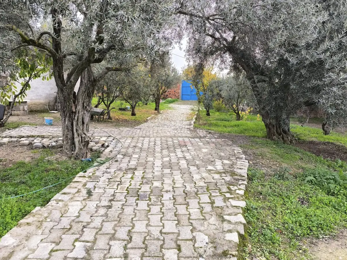 ACİL SATILIK – YAZLIK KÖY EVLERİ - Fotoğraf 7